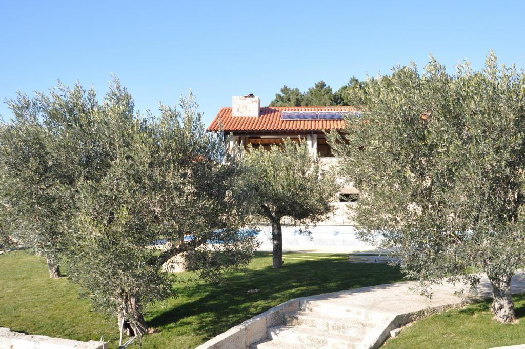Vilas Boas  Quinta Do Olival 게스트하우스 외부 사진