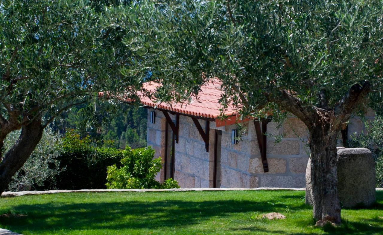 Vilas Boas  Quinta Do Olival 게스트하우스 외부 사진